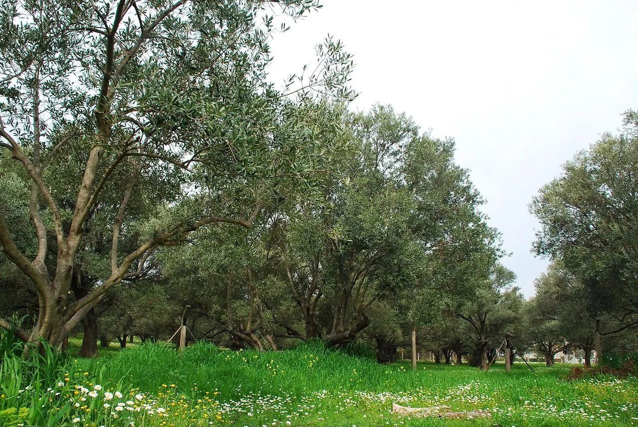 Urla Villanova