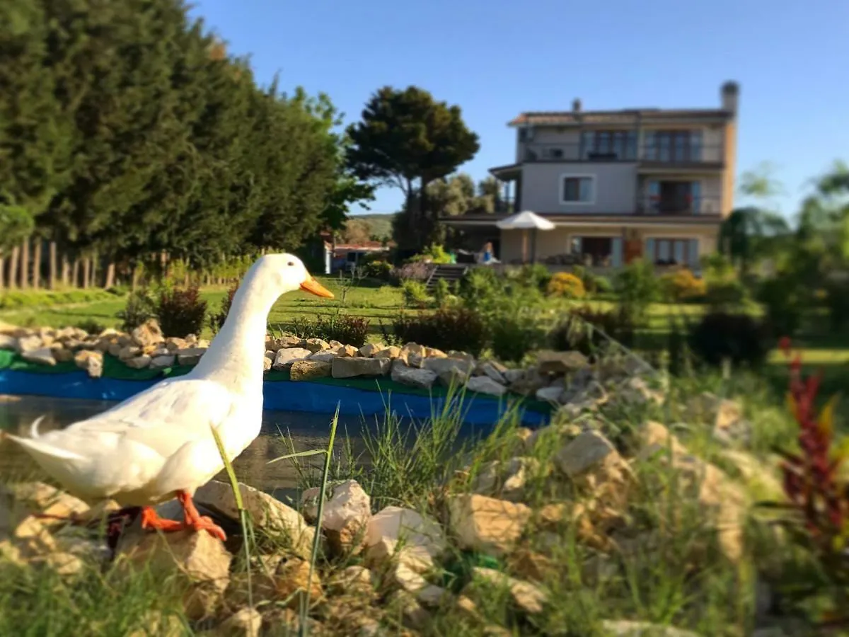Urla Villanova